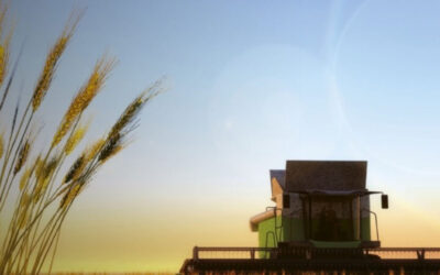 Oportunidades e Desafios das Novas Tecnologias Agropecuárias