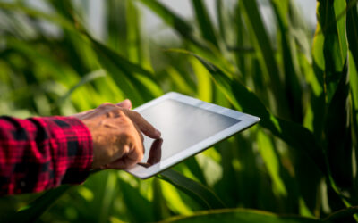 Engajamento do Agricultor é a Chave para a Adoção Digital