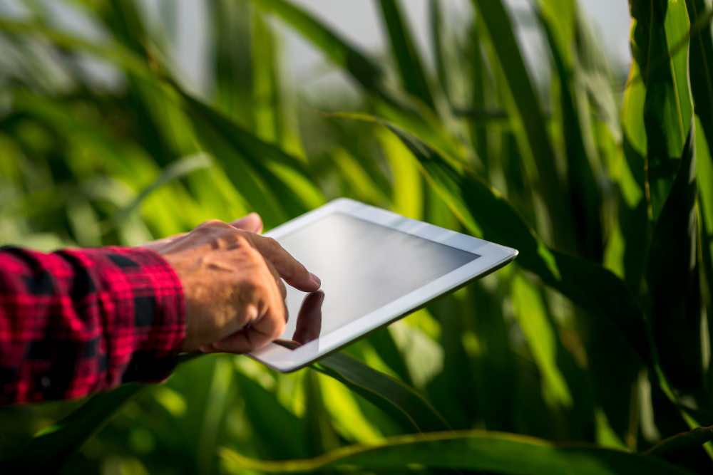 Engajamento do Agricultor é a Chave para a Adoção Digital